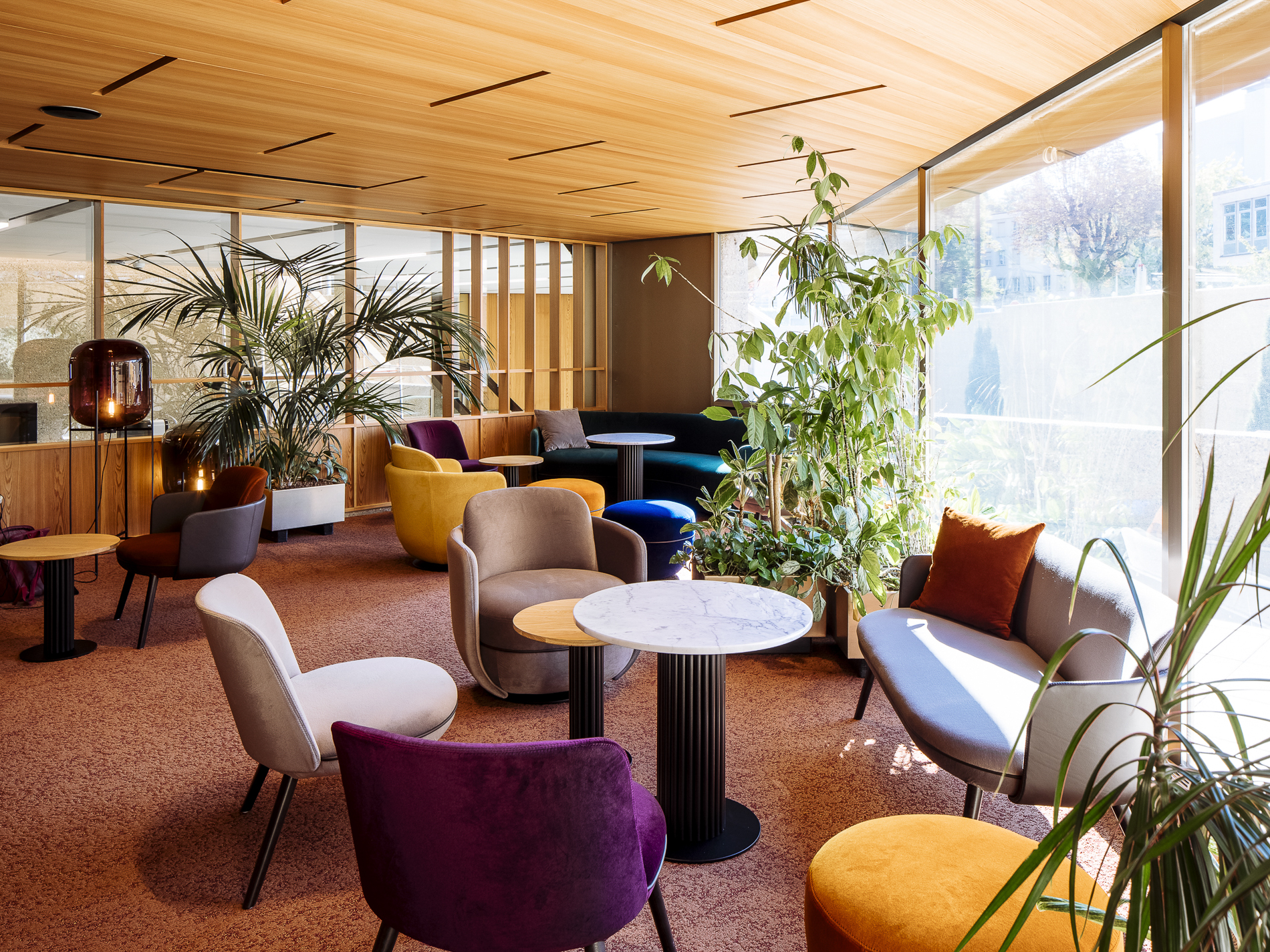 sunny interior photography and colorful design chairs